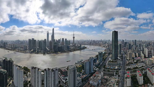 王德忠 加速上規(guī)模成體系,推進國際貿易中心提質升級